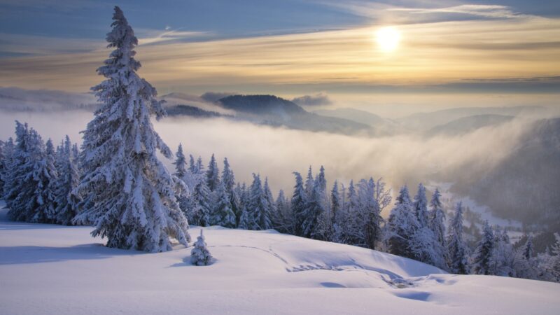 Feldberg Sonne Die schönsten Winterwanderungen im Schwarzwald